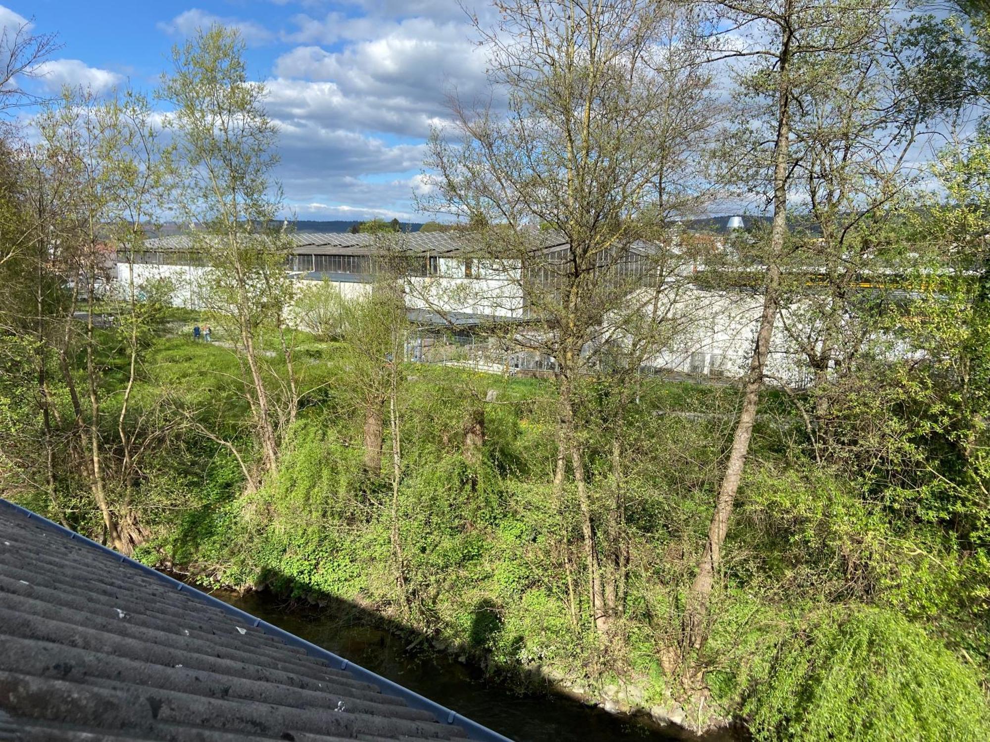 Ferienwohnung Am Erbacher Muemlingufer Эрбах Экстерьер фото